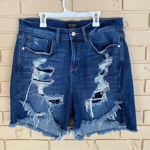 Judy Blue Los Angeles Women's 1XL Medium Wash Distressed Denim Jean Shorts